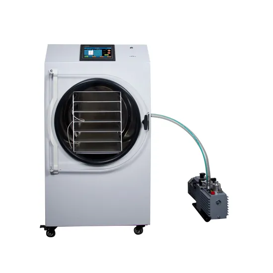 Home Fruit Food Freeze Drying Machine Vacuum Freeze Dryer Machine 
