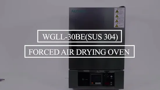 SUS304 Forced Air Drying Oven, Hot Air Sterilizing Drying Oven 