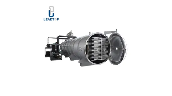High Quality Vegetables Fruit Food Lyophilizer Dog Treat Cat Food Vacuum Freeze Dryer Drying Machine 