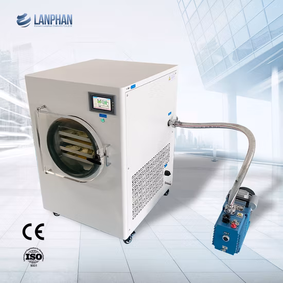 Large Capacity Freeze Vacuum Dryer Drying Machine