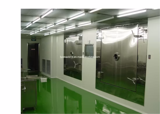 High Quality Vegetables Fruit Food Lyophilizer Dog Treat Cat Food Vacuum Freeze Dryer Drying Machine
