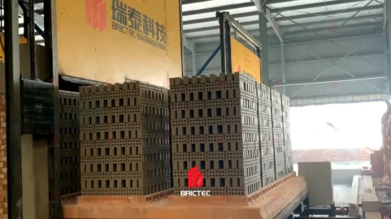 High Efficiency Fired Brick Kiln for Red Bricks Burning with High Capacity