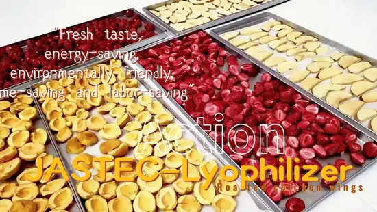 Chemical Drying Equipment Gr Graphene Preparation and Freeze Dryer (Contact Type) 