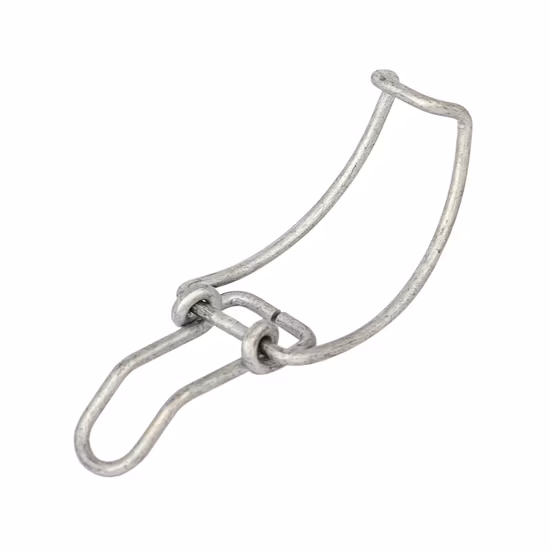 Factory Price Customized Metal Stainless Steel Any Shape Wire Forming (ISO9001/IATF16949)